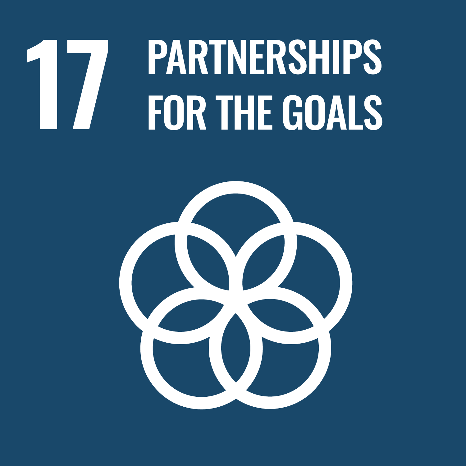 Symbol of 5 interconnected circles. Text reads "partnerships for the goals."